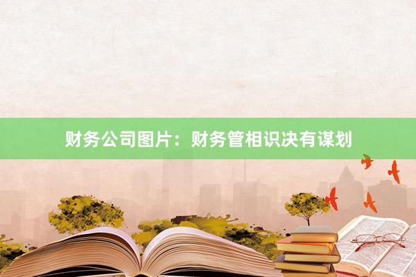 财务公司图片：财务管相识决有谋划