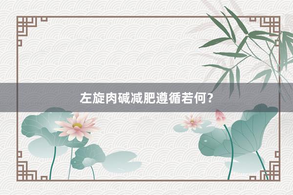 左旋肉碱减肥遵循若何？